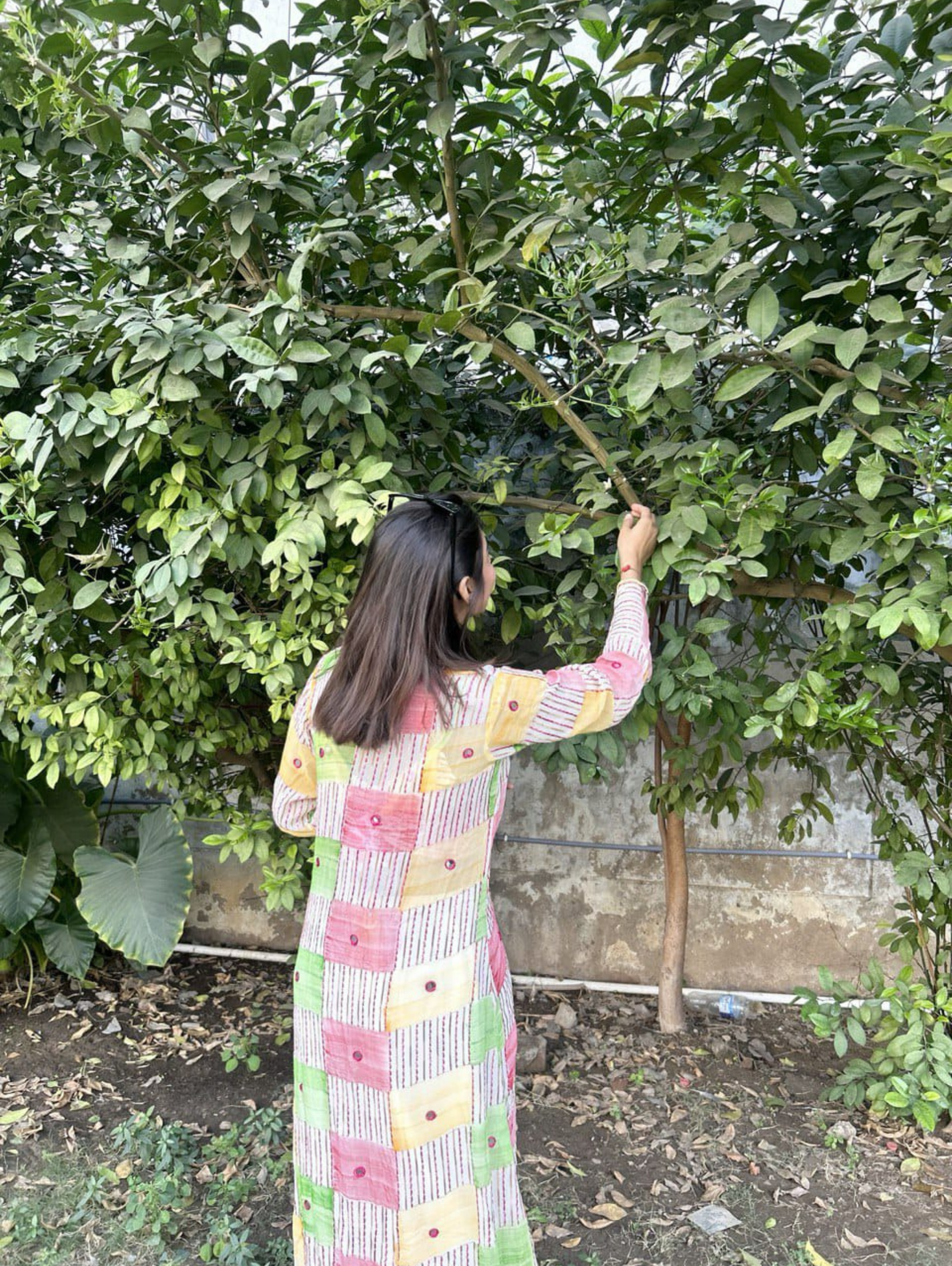 Premium Designer Traditional 3 Piece