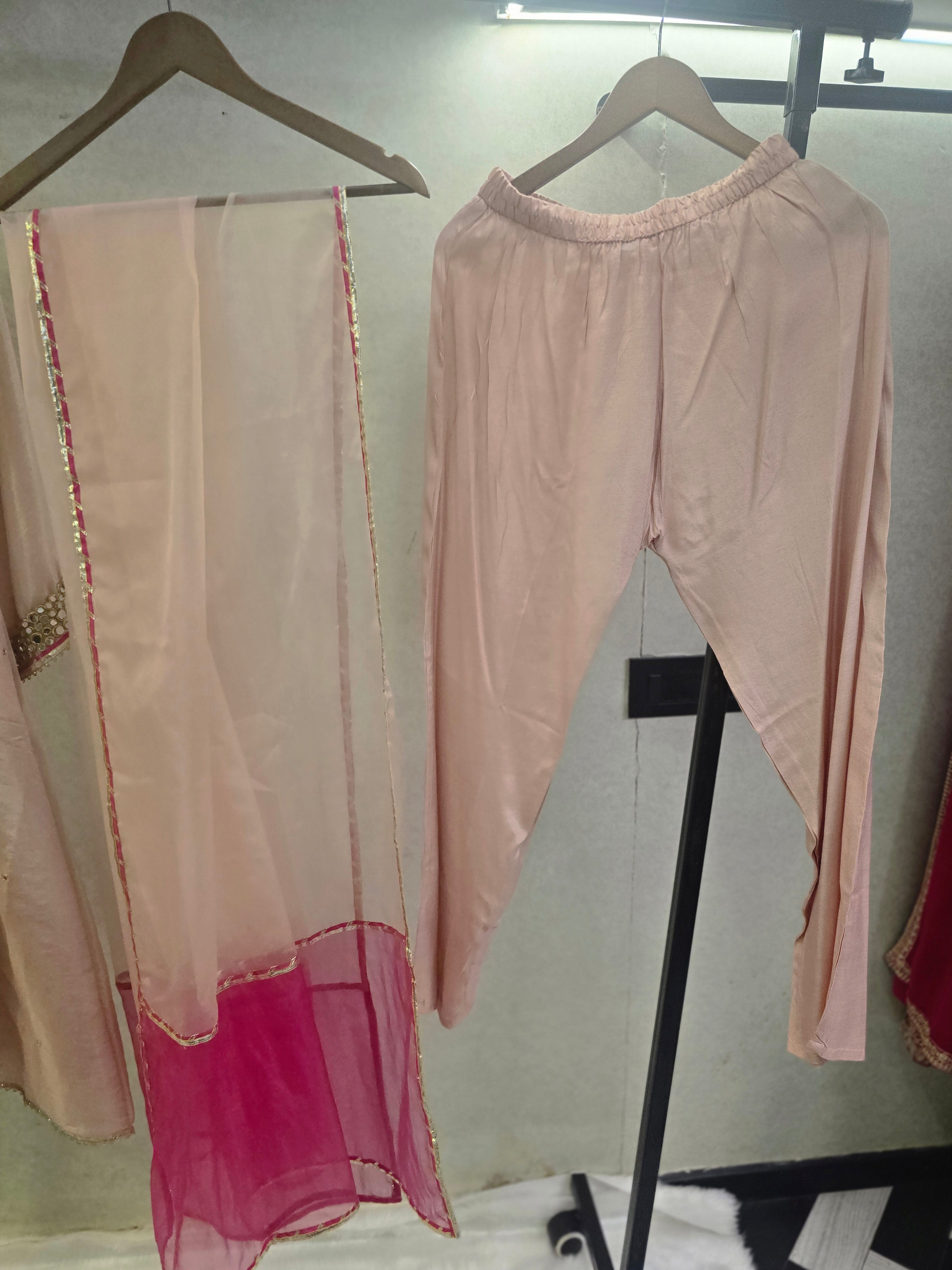 Image of Blush Pink Hand-Embroidered Kurta Set with Contrast Organza Dupatta | Premium 3 Piece Ethnic Suit
