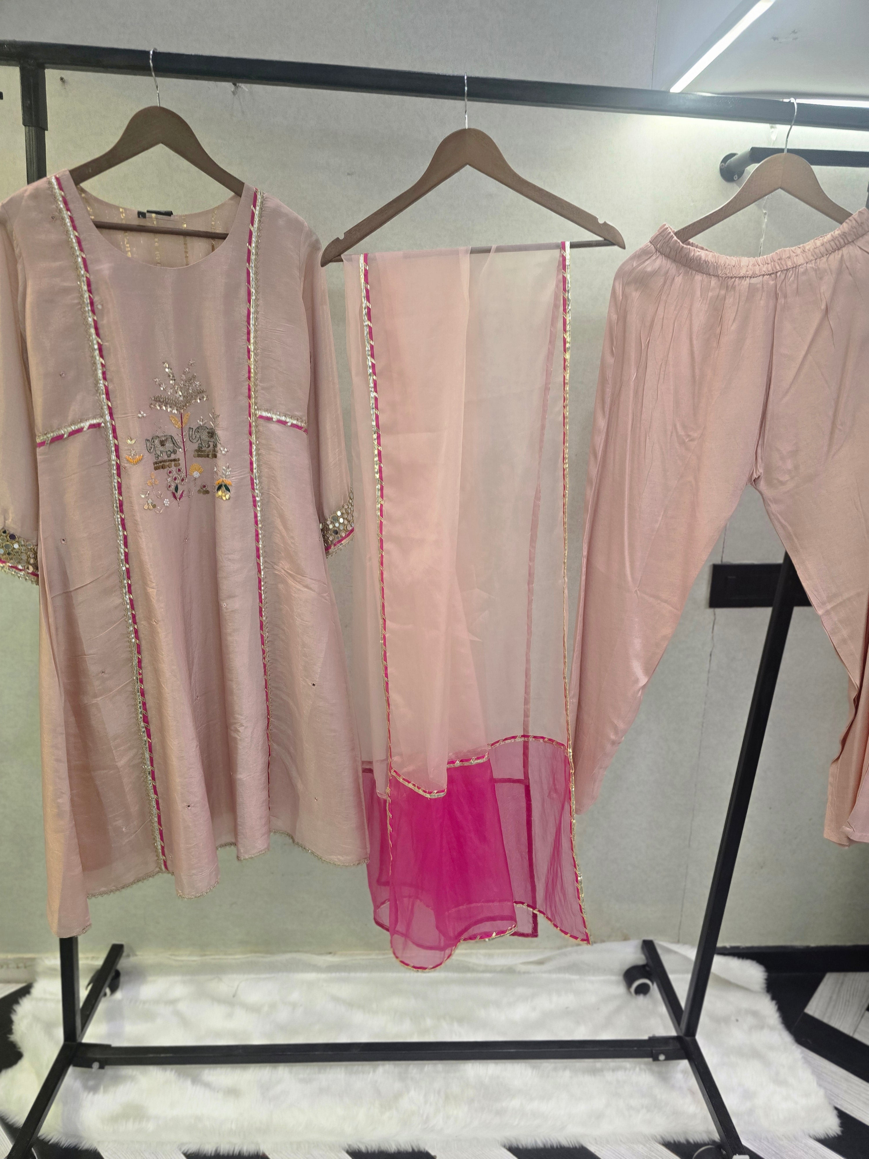 Image of Blush Pink Hand-Embroidered Kurta Set with Contrast Organza Dupatta | Premium 3 Piece Ethnic Suit