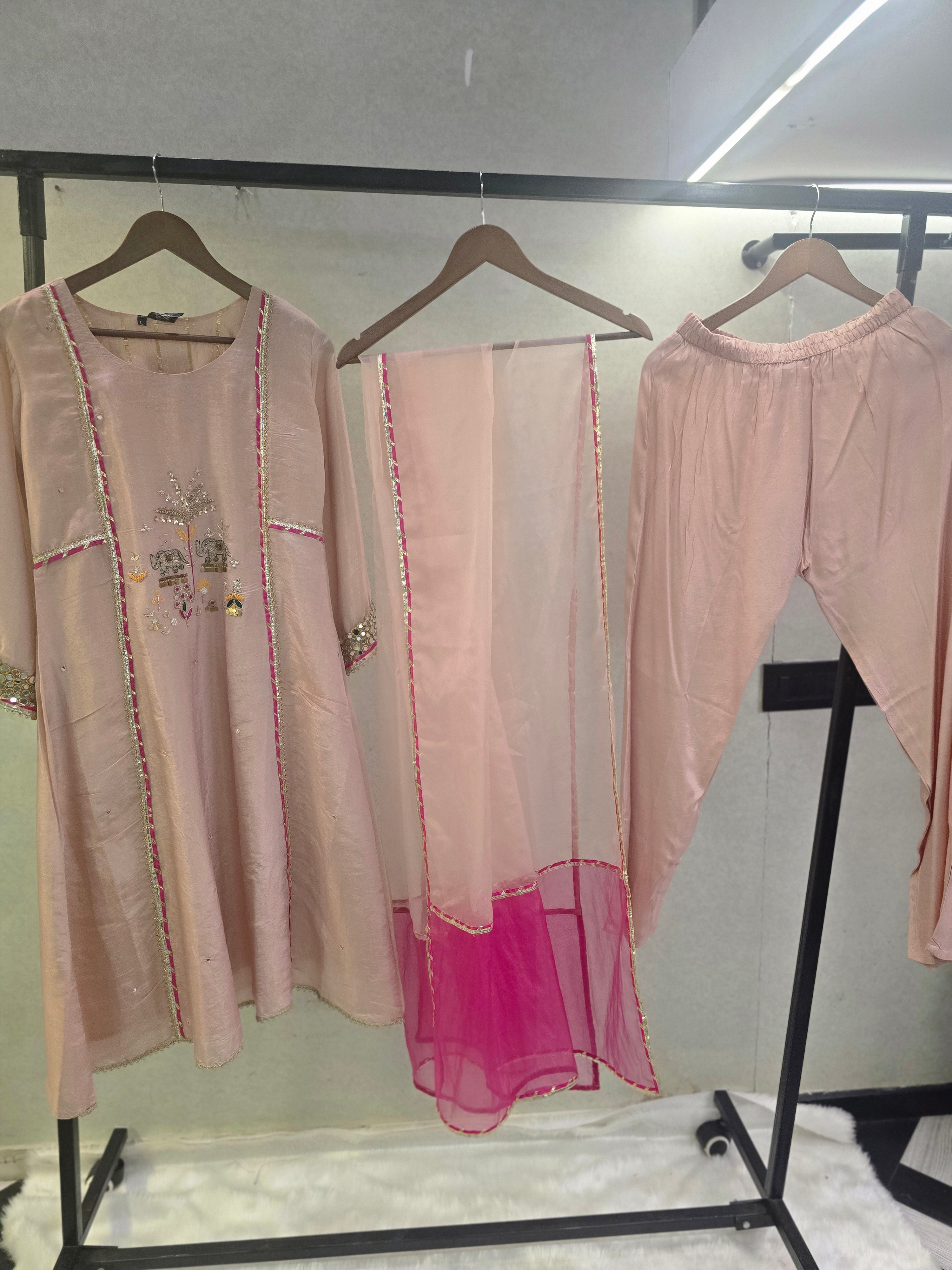 Image of Blush Pink Hand-Embroidered Kurta Set with Contrast Organza Dupatta | Premium 3 Piece Ethnic Suit